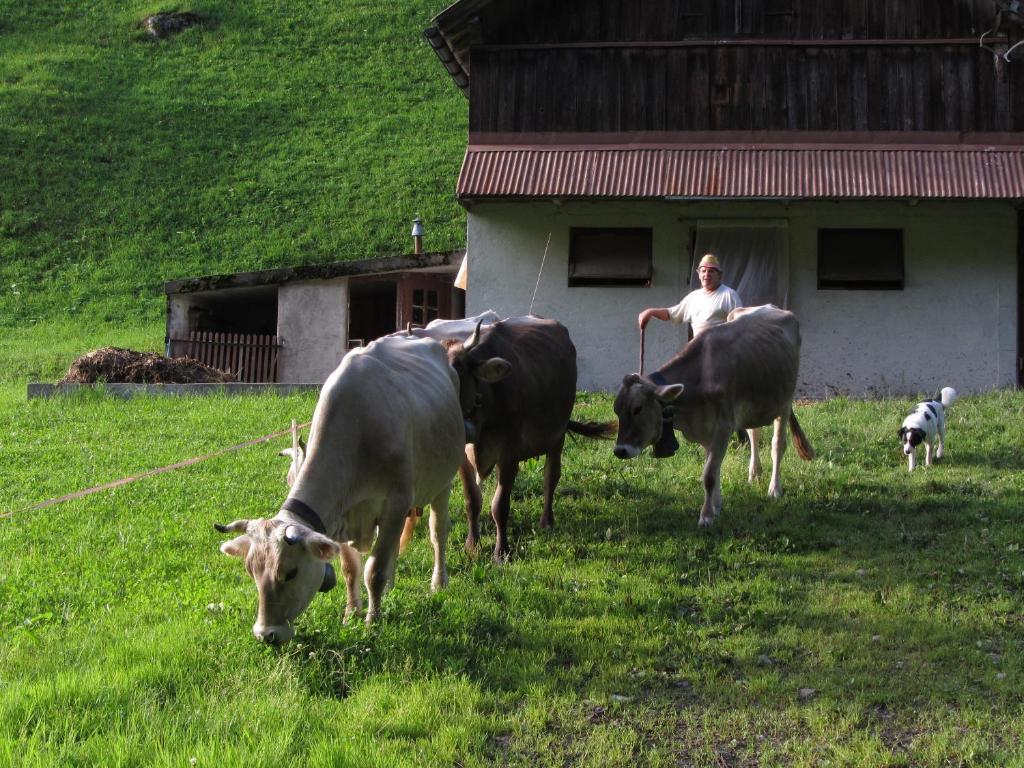 Ferienstudio In Unterschaechen Rom bilde